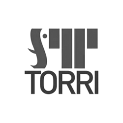 Torri